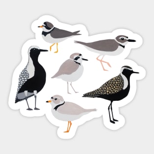 Plethora of Plovers Sticker